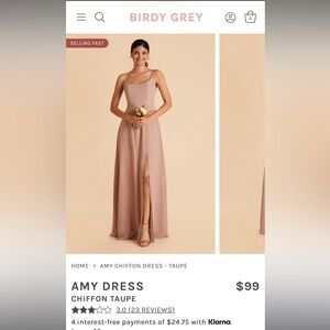 Birdy Grey Amy Dress in Taupe